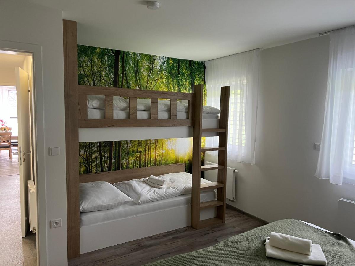 Apartman - Dolni Morava - "Sedmicka" Pro 2 Az 6 Osob Екстериор снимка